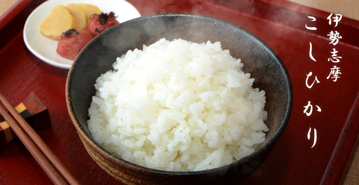 伊勢志摩 こしひかり